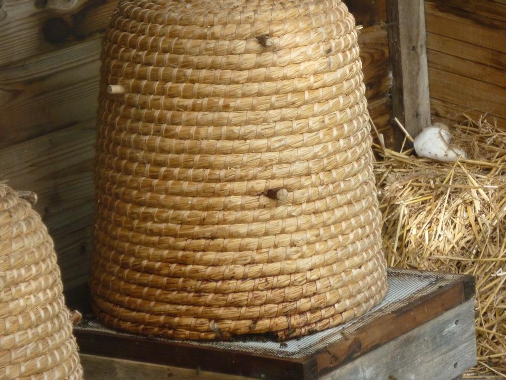 Chambre D'Hotes Au Fil De L'Eau Jumièges Εξωτερικό φωτογραφία